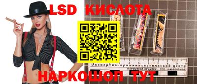 гашик Жуковский