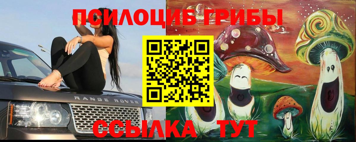 Орёл  Псилоцибиновые грибы мицелий  Вход с VPN 